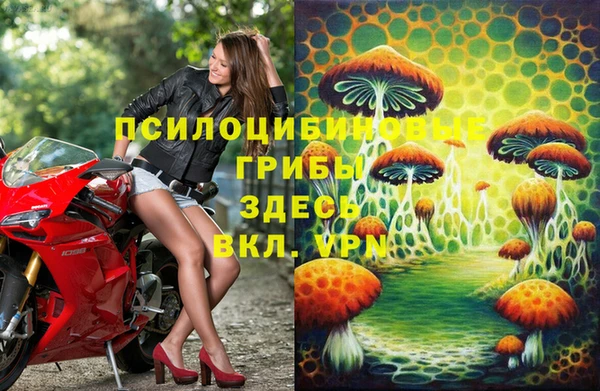 jwh Алзамай