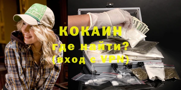 дмт Новодвинск