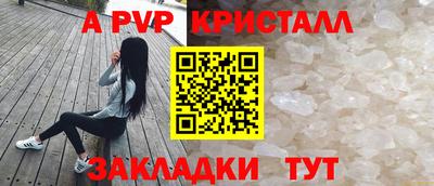 сатива Малгобек