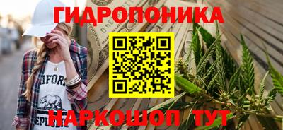 сатива Малгобек
