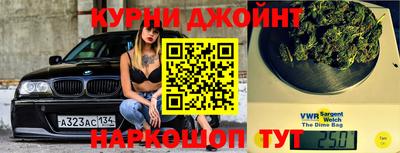 сатива Малгобек