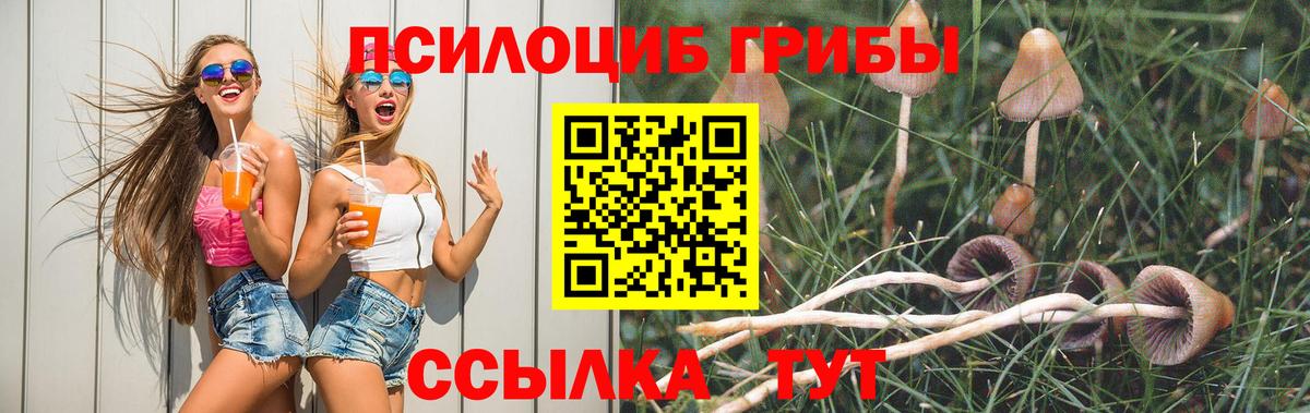 Галлюциногенные грибы Cubensis Югорск