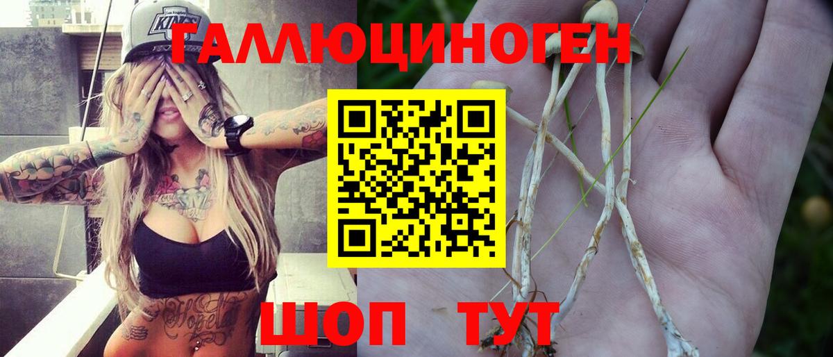 Югорск  Псилоцибиновые грибы GOLDEN TEACHER  Вход с VPN 
